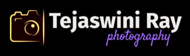 tejaswiniray.com
